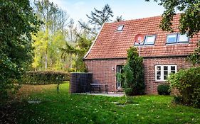 Zugvogel OG